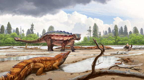 Life reconstruction of Akainacephalus johnsoni. Image credit: Andrey Atuchin, Denver Museum of Nature & Science.