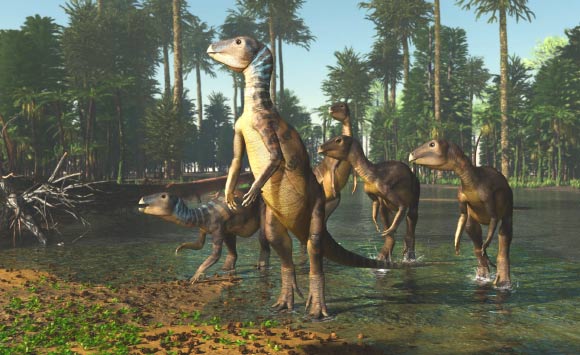 An artist’s impression of Weewarrasaurus pobeni. Image credit: James Kuether.