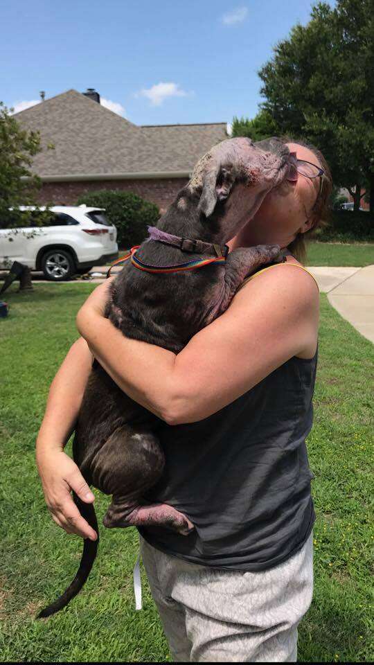 Woman hugging rescued dog